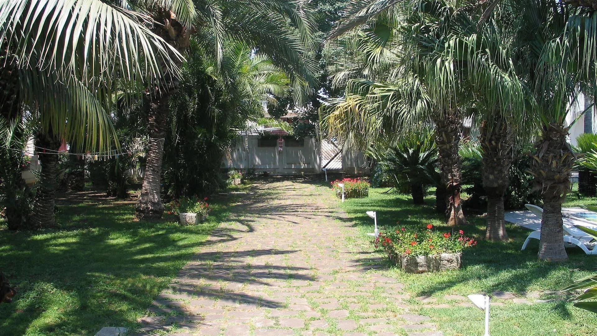 Cuore Di Palme Floridia