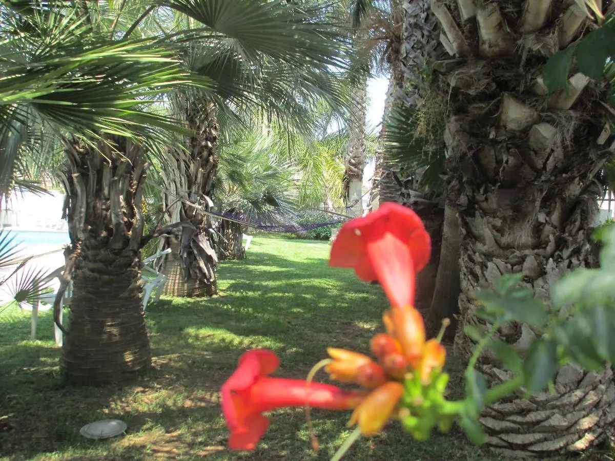 Apartahotel Cuore Di Palme Floridia